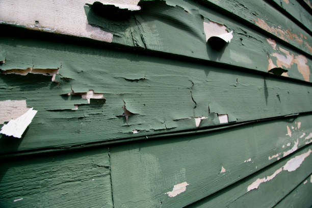 Affordable Siding Repair and Maintenance Services in Jefferson City, TN